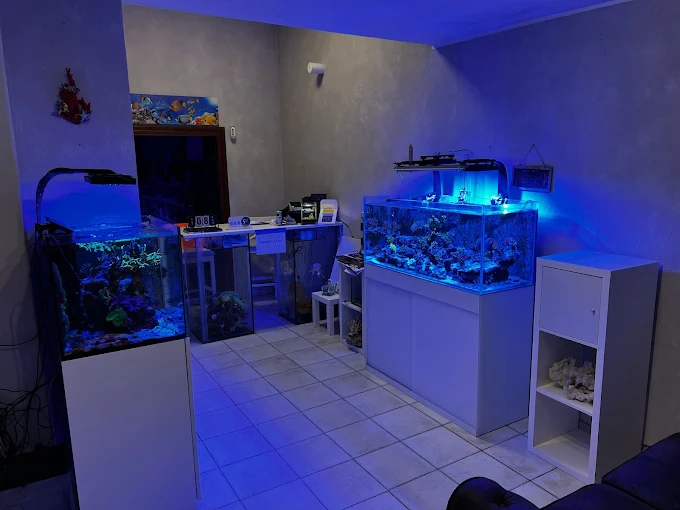 Prodotti per acquario a Varese